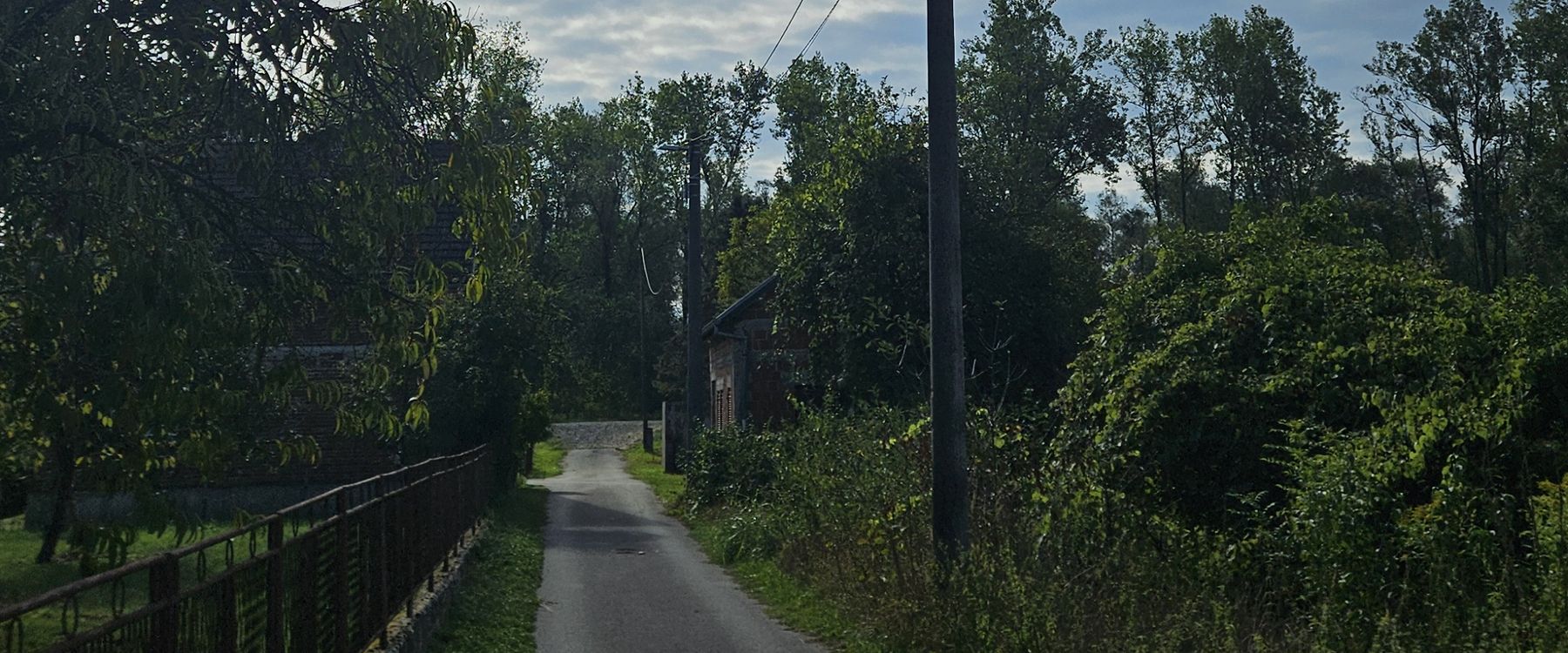 Landstraße zwischen Zaun und Auwald unter bewölktem Himmel